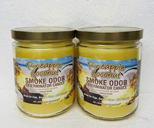 SmokeOdorExterminator13ozJarCandle_PineappleCoconutSetof2Candles.