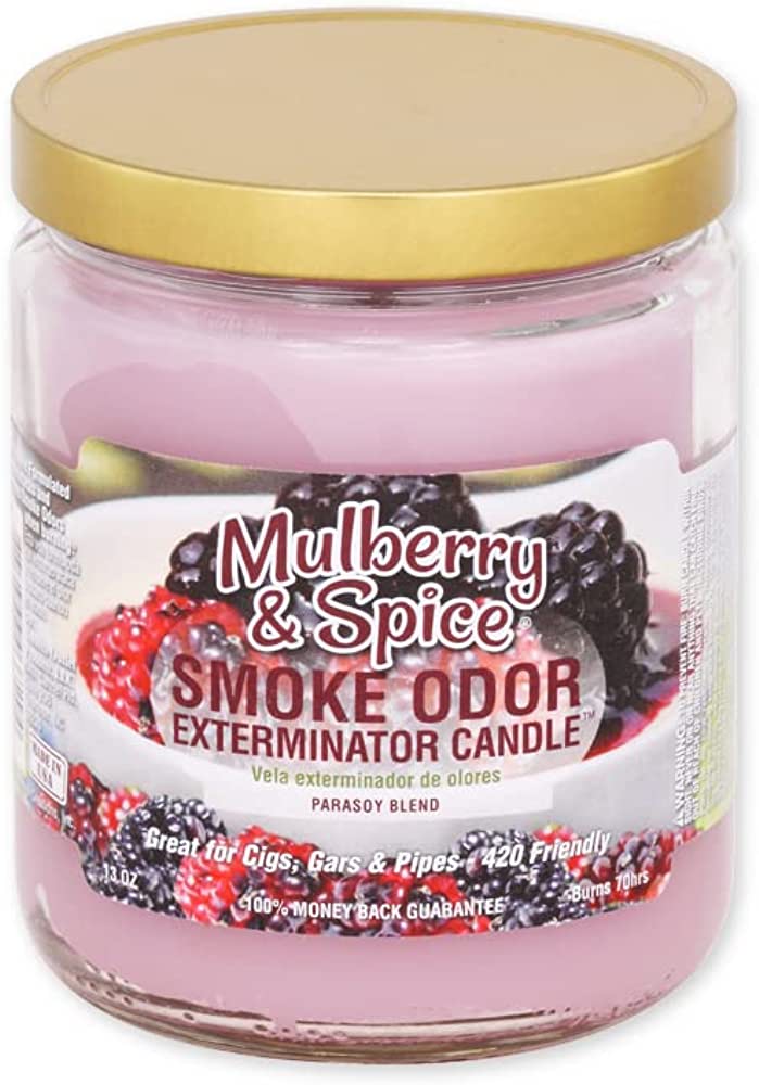 SmokeOdorExterminator13ozJarCandlesMulberrySpice_Assortment_2_IncludesMulberrySpiceandAppleOrchard.-1