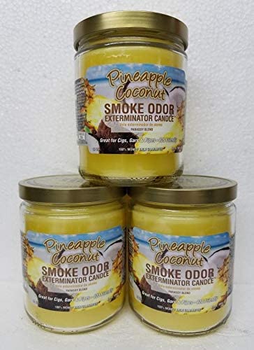 SmokeOdorExterminator13ozJarCandlesPineapple_Coconut_3