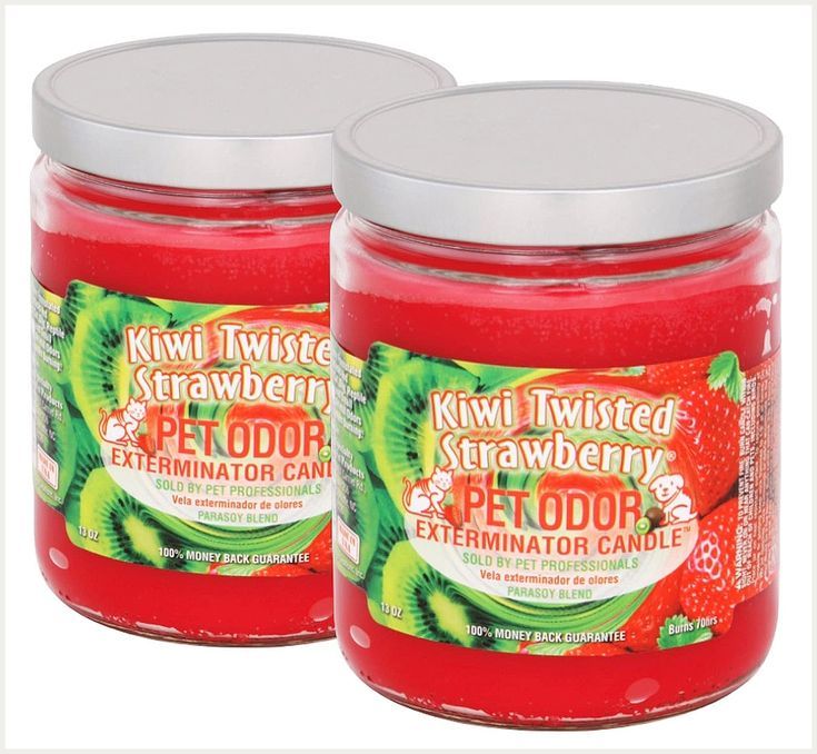 SmokeOdorExterminator13ozJarCandles_KiwiTwistedStrawberry_Packof21