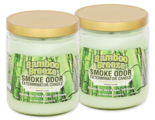 SmokeOdorExterminator_BambooBreeze13ozJarCandle_13oz